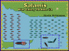 Salamis full.gif (32944 bytes)