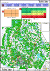 Tigers in the Mist big.gif (109892 bytes)